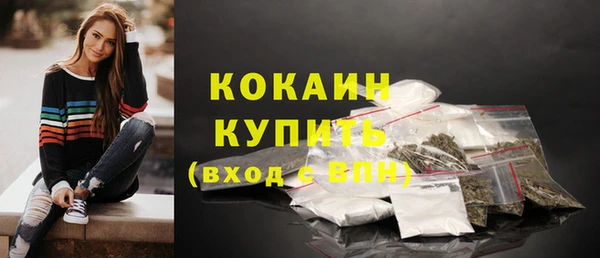 дживик Бронницы