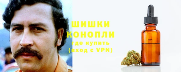 СК Бородино
