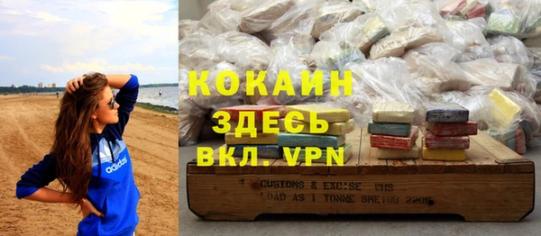 дживик Бронницы