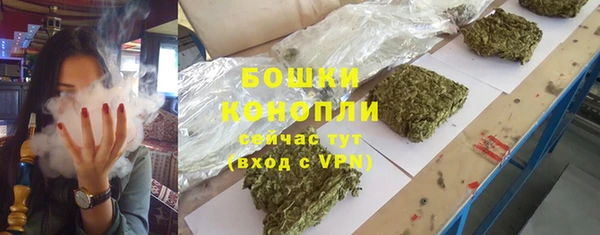 дживик Бронницы