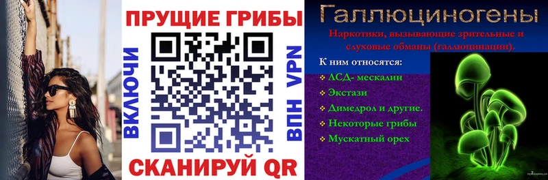 Галлюциногенные грибы Psilocybe  наркота  mega tor  Сыктывкар 
